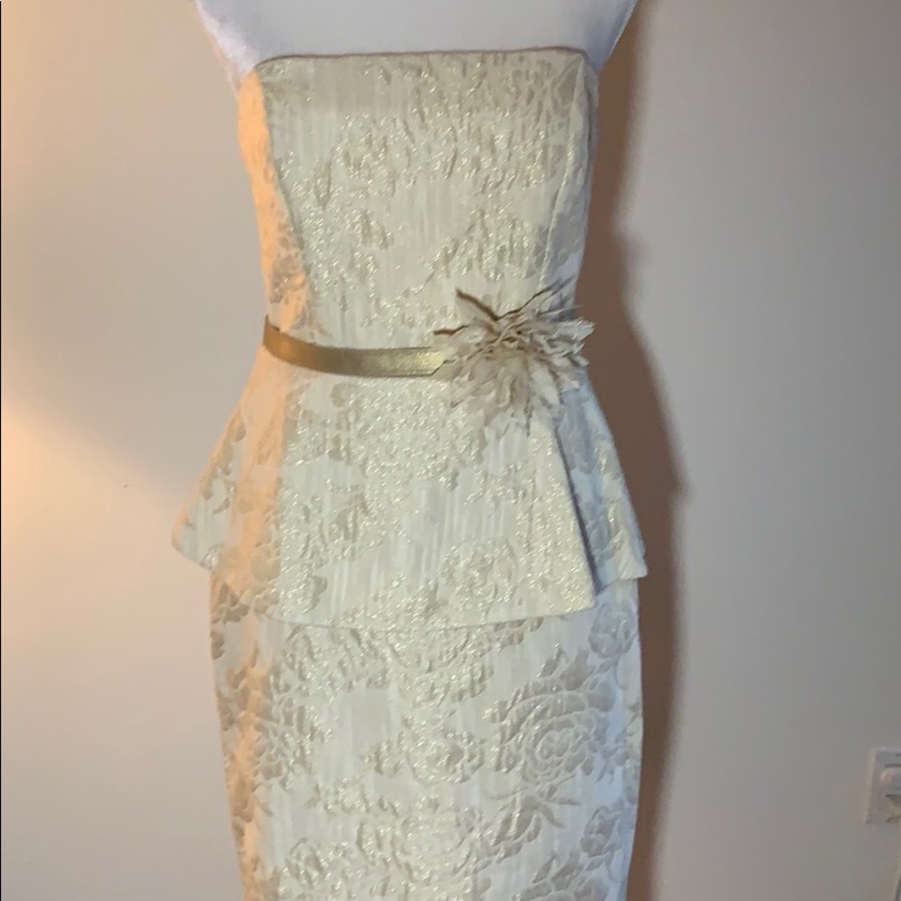 NWT Eva Franco Elba Dress